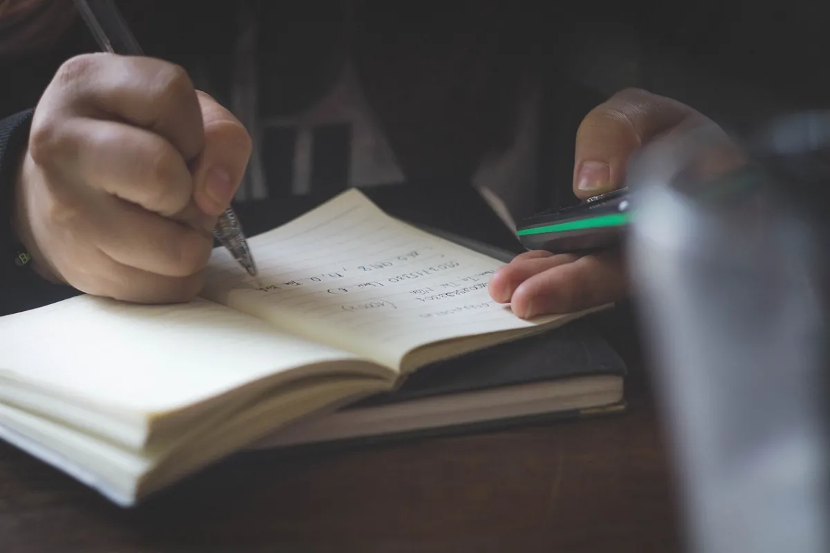 I will write reviews for your app website other