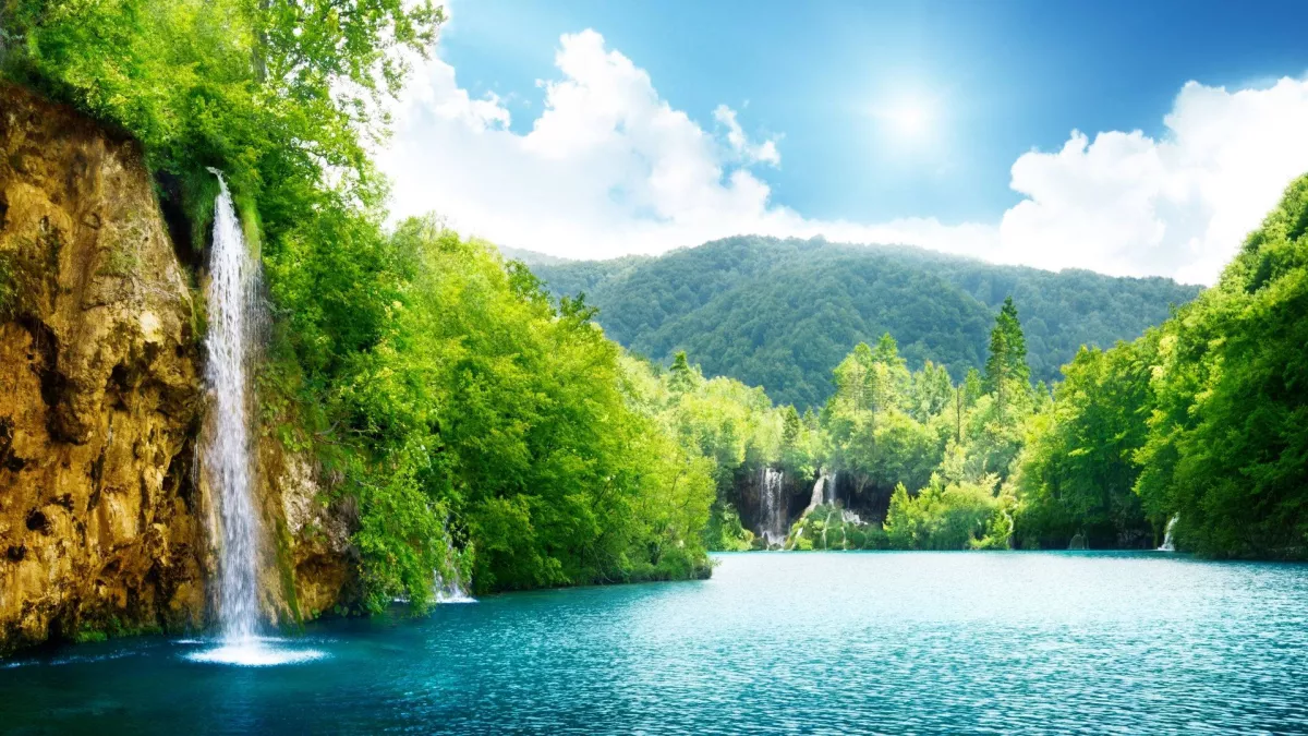 instant provider of natural landscapes 