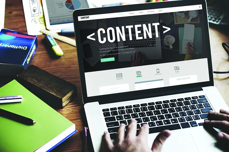 Write SEO optimized articles for blog
