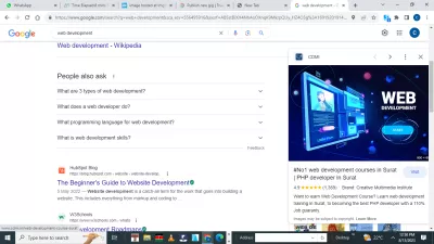 I will do programming and web development