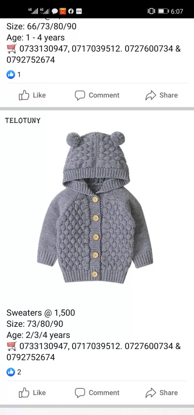 I will do programming and web development