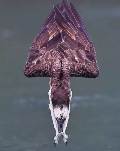 be your photographer